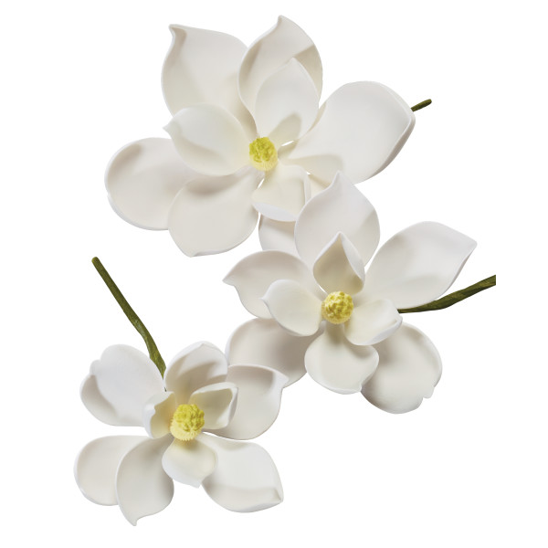 Magnolia Asst Gum Paste 3 count