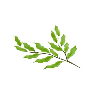 Green Leaf Stems 8 1/2″ Each
