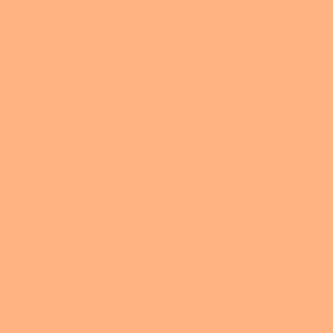 Peach FDA Luster Dust 3.5 gram Each