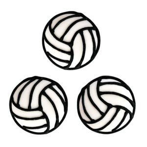 Volleyball Royal Icing 12 count