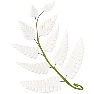 White Fern Sprig Assortment Gum Paste Each