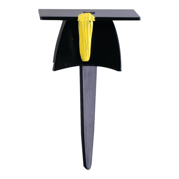 Grad 3-D Hat Pick 2 1/4" 12 count