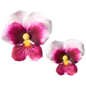 Pink Pansies Assortment 3 count