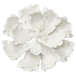 Peony White 4″ Each