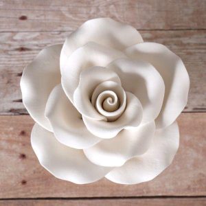 Old Fashioned Roses White 2 1/2″ Each