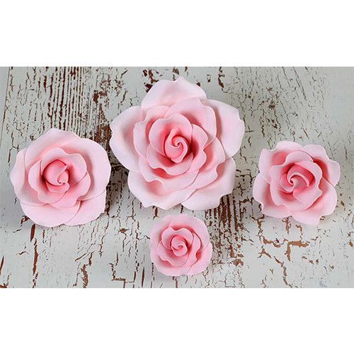English Garden Rose Mix Pink 4 count