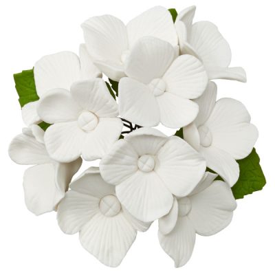 Hydrangea Bunch Each