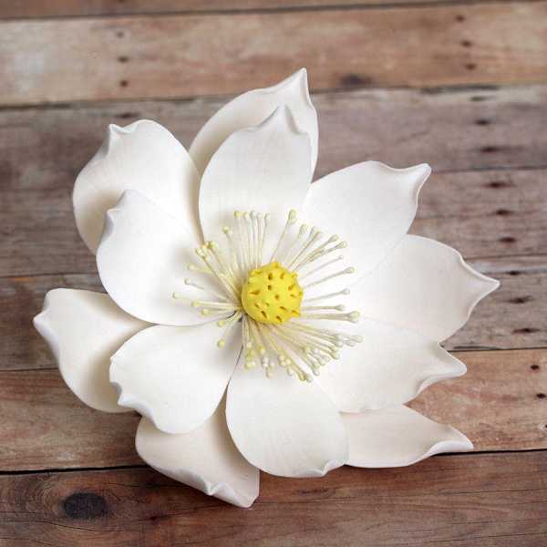 Lotus XL White Gum Paste 5" Each