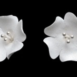 Fruit Blossom White 1″ 5 count