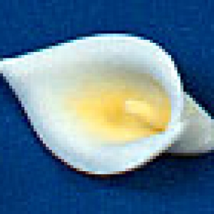 Calla Lily Flower Small 4 count