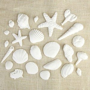 Sea Shells 4 Styles White Assorted Gum Paste 3″ Each