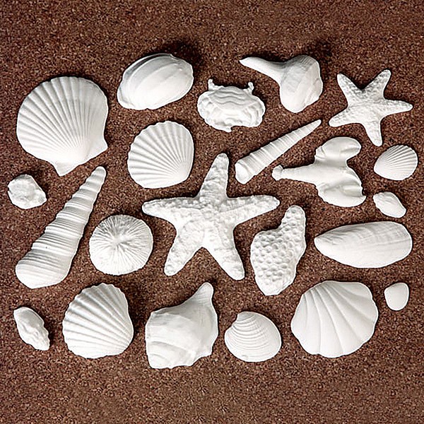 Sea Shells 4 Styles White Assorted Gum Paste 3" Each - Image 2