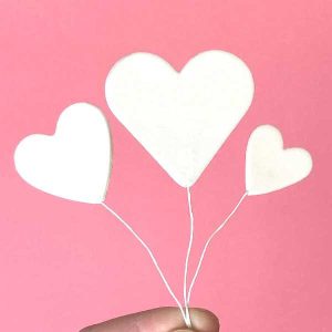 White Heart Burst Assorted Sizes 5 count