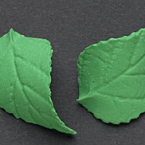 Green Gum Paste Rose Leaves 12 count