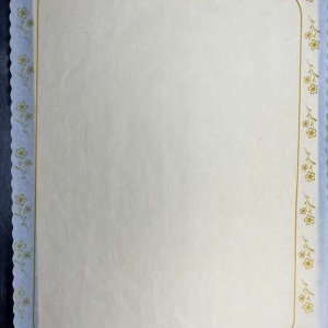 15″ X 20″ Daisy Design Doilies 10 count