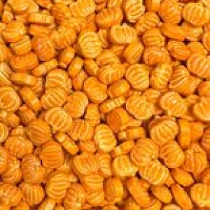Pumpkin Sprinkles (10MM) 6 OZ