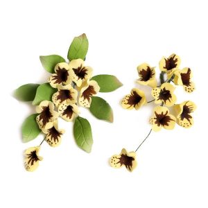 Tropical Filler Mix 2 1/2″ x 4 1/2″ 2 count