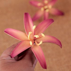 Wild Lily Mauve 3.25″ Each