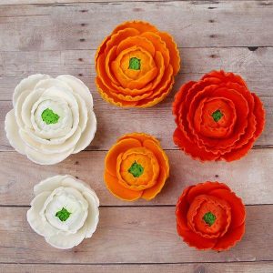 Ranunculus Mix 1.75″, 2.5″ 2 Count
