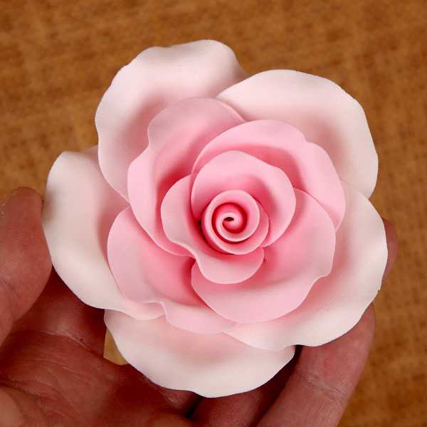 Old Fashioned Roses Pink 2 1/2" Each