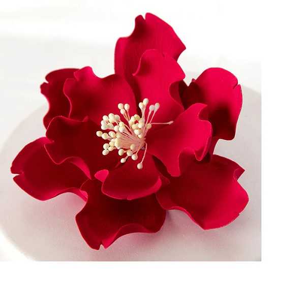 Large Open Peony Red 6" Each