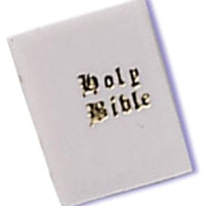 Bibles 1 3/4″ White Each