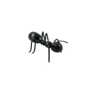 Ant 3D Layons 2″ 6 count