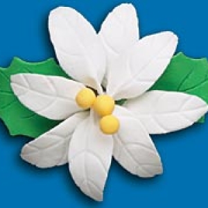 White Poinsettias- Large Gum Paste 3 1/2″ each