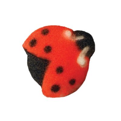 Ladybug Dec-On 3/4" 12 count