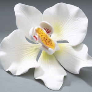 Orchid White Gum Paste 4″ Each