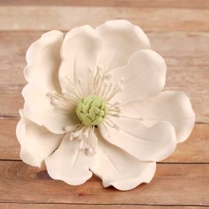 Full Blossom Magnolia White 3″ Each