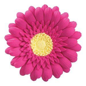 Gerbera Daisy Gum Paste Hot Pink 3″ Each
