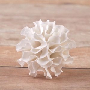 Carnation White 1.5″ 2 count