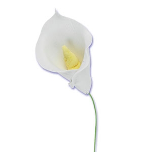 Single Small Calla Lily 2″ x 1.25″ Each