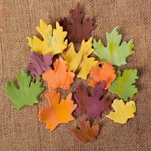 Fall Leaves Assorted Gum Paste 2″x 2″ 6 count