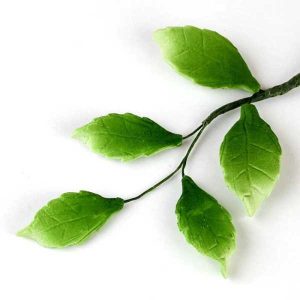 Rose Leaf Filler Green Each