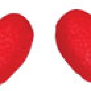 Mini Red Hearts 1/2 inch Sugar Decorations 20 count