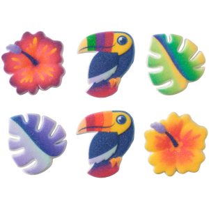 Tropical Vibes Dec-Ons 6 count