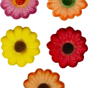 Autumn Daisies Pressed Sugar Decorations Assorted Colors 12 count