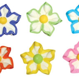 Star Flowers Assorted Large 6 count