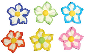 Star Flowers Assorted Large 6 count