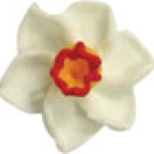 Narcissus Royal Icing Flower 7/8 10 count