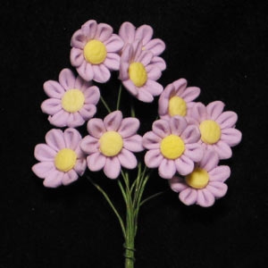 Daisy Mini Bunches Lavender 10 Flowers per Bunch