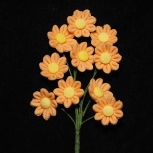 Daisy Mini Bunches Orange 10 Flowers per Bunch
