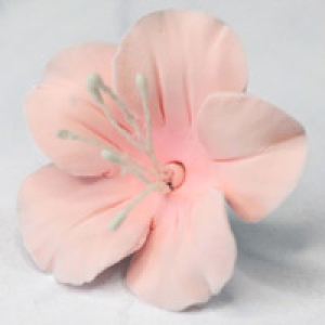 Fruit Blossom Pink 2″ 2 Count