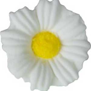 Daisies Small White w/Yellow center 6 Count