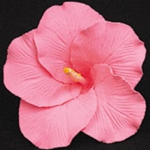 Hibiscus Flower Pink 3″ Each