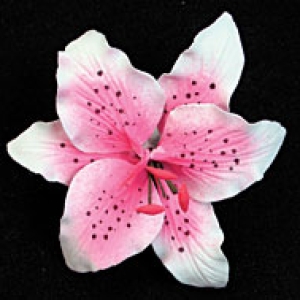 Pink Rubrum Single Mini 2 3/4″ 2 count