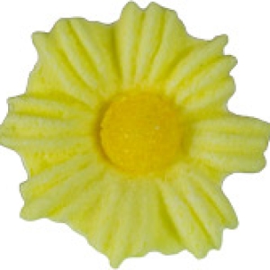 Daisies Medium Yellow 6 Count