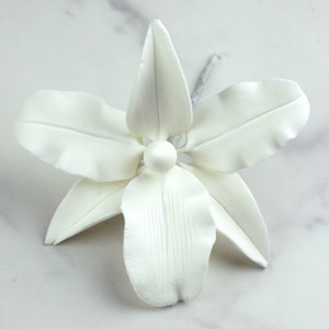 Gladiolus Single 4″ Each